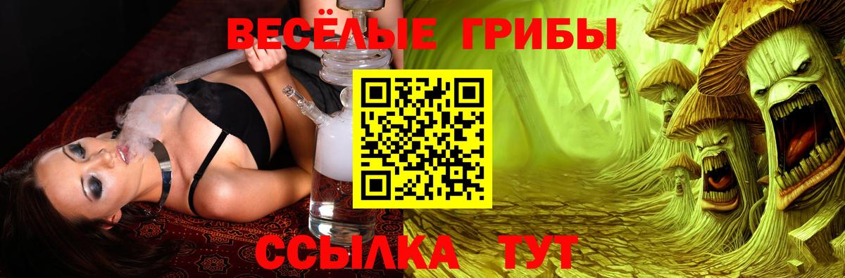 Псилоцибиновые грибы Magic Shrooms  Вход с VPN  Клинцы  Псилоцибиновые грибы GOLDEN TEACHER 